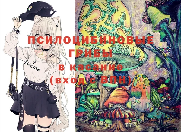 соль ск Верея